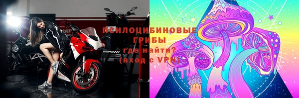 ПСИЛОЦИБИНОВЫЕ ГРИБЫ Аркадак